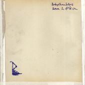 babyshambles___down_in_albion.jpg